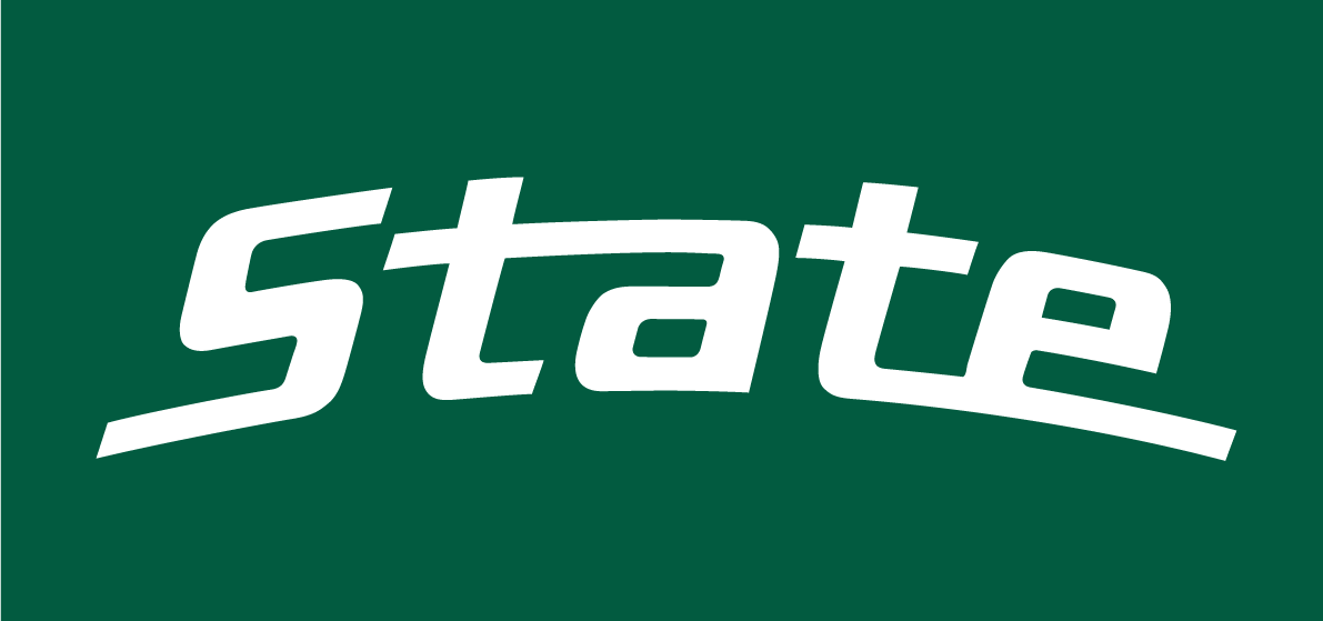 Michigan State Spartans 0-Pres Wordmark Logo v2 DIY iron on transfer (heat transfer)